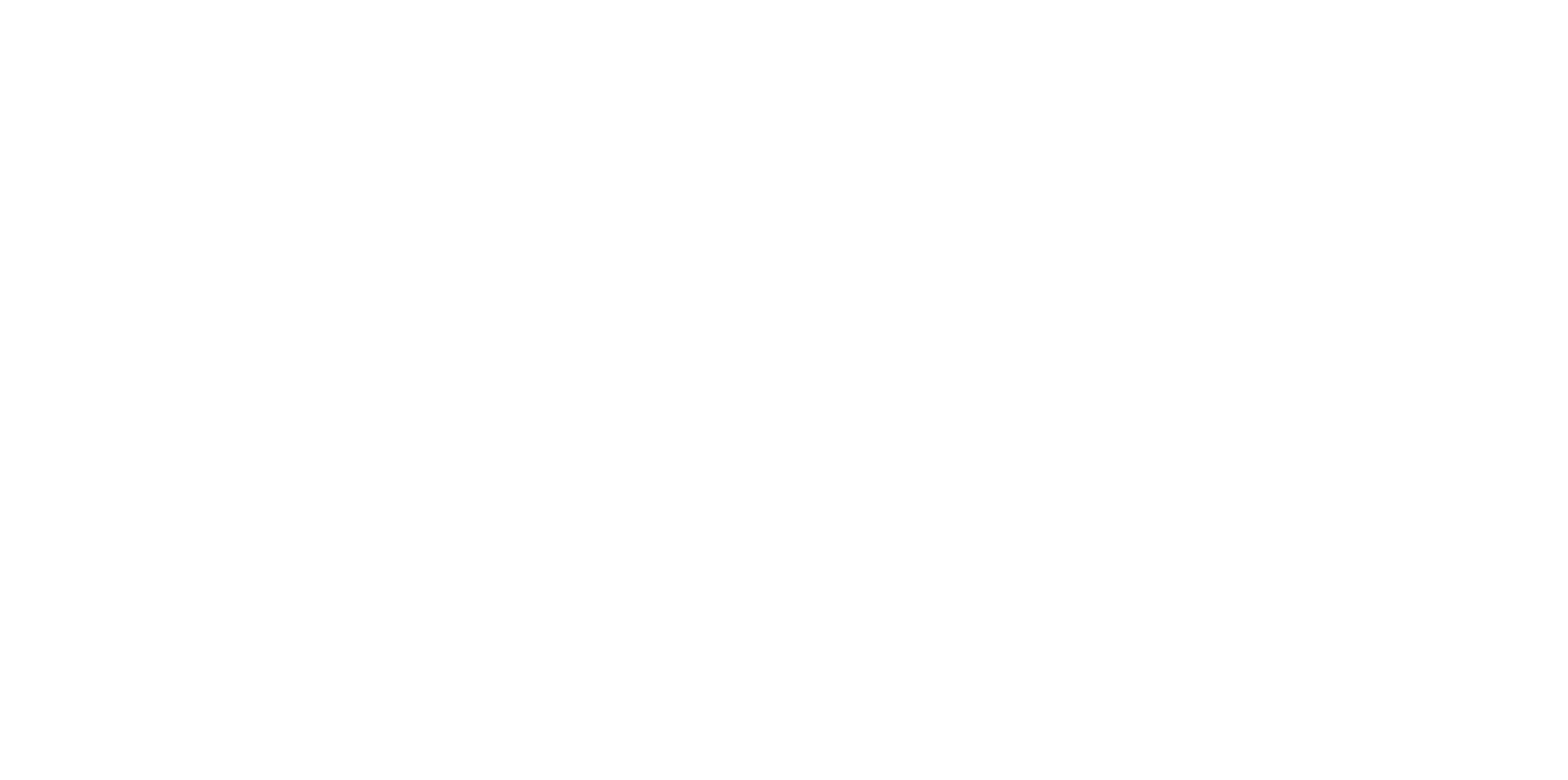 Peter Stuyvesant Travel